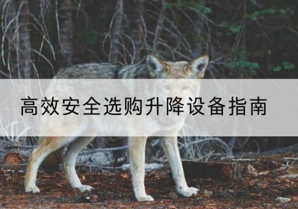 镇坪升降货梯厂家推荐-*安全选购升降设备指南