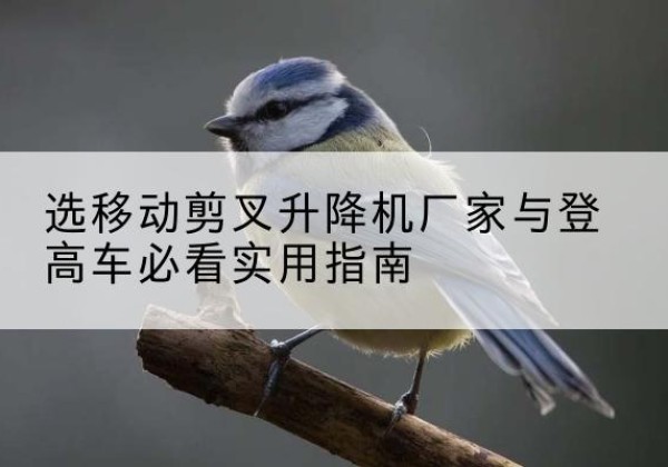 镇坪电动升降机厂家-选移动剪叉升降机厂家与登高车必看实用指南