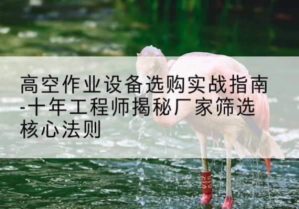 镇坪剪叉式升降机厂家-高空作业设备选购实战指南-十年工程师揭秘厂家筛选核心法则