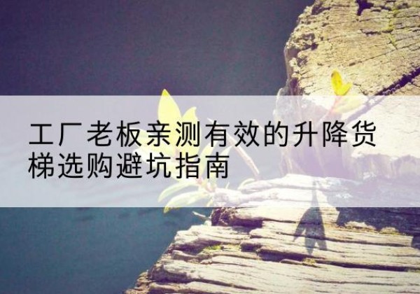 镇坪升降货梯怎么选-工厂老板亲测有效的升降货梯选购避坑指南